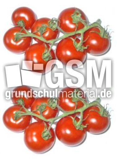 Tomaten-2x7.jpg
